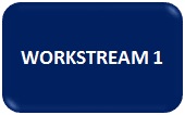 Workstream 1 Link